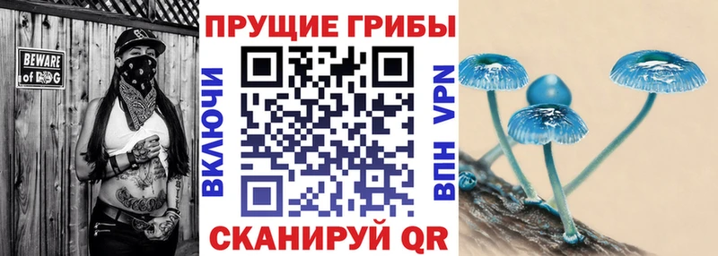 Галлюциногенные грибы Cubensis  Всеволожск 