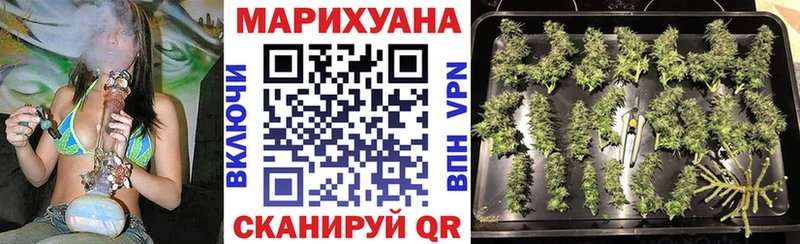 kraken как войти  Всеволожск  Бошки марихуана план 